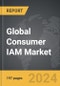 Consumer IAM - Global Strategic Business Report - Product Thumbnail Image