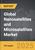 Nanosatellites and Microsatellites - Global Strategic Business Report- Product Image