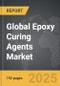 Epoxy Curing Agents - Global Strategic Business Report - Product Image