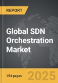 SDN Orchestration - Global Strategic Business Report- Product Image