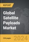 Satellite Payloads - Global Strategic Business Report - Product Image
