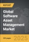 Software Asset Management - Global Strategic Business Report - Product Image