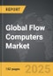 Flow Computers - Global Strategic Business Report - Product Thumbnail Image