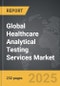 Healthcare Analytical Testing Services - Global Strategic Business Report - Product Thumbnail Image