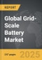 Grid-Scale Battery - Global Strategic Business Report - Product Thumbnail Image