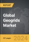 Geogrids - Global Strategic Business Report - Product Image