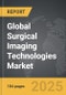 Surgical Imaging Technologies: Global Strategic Business Report - Product Thumbnail Image