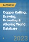 Copper Rolling, Drawing, Extruding & Alloying World Database - Product Image