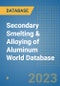 Secondary Smelting & Alloying of Aluminum World Database - Product Image