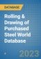 Rolling & Drawing of Purchased Steel World Database - Product Image