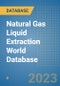 Natural Gas Liquid Extraction World Database - Product Image