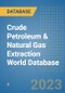 Crude Petroleum & Natural Gas Extraction World Database - Product Image