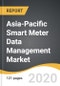 Asia-Pacific Smart Meter Data Management Market 2019-2027 - Product Thumbnail Image