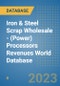Iron & Steel Scrap Wholesale - (Power) Processors Revenues World Database - Product Image