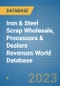 Iron & Steel Scrap Wholesale, Processors & Dealers Revenues World Database - Product Image