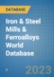Iron & Steel Mills & Ferroalloys World Database - Product Image
