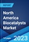 North America Biocatalysts Market: Industry Trends, Share, Size, Growth, Opportunity and Forecast 2023-2028 - Product Image