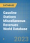 Gasoline Stations Miscellaneous Revenues World Database - Product Image