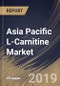 Asia Pacific L-Carnitine Market (2019-2025) - Product Thumbnail Image