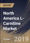 North America L-Carnitine Market (2019-2025) - Product Thumbnail Image