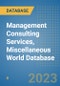 Management Consulting Services, Miscellaneous World Database - Product Image