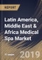Latin America, Middle East & Africa Medical Spa Market (2019-2025) - Product Thumbnail Image