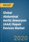 Global Abdominal Aortic Aneurysm (AAA) Repair Devices Market 2019-2025 - Product Thumbnail Image