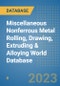 Miscellaneous Nonferrous Metal Rolling, Drawing, Extruding & Alloying World Database - Product Image
