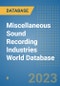 Miscellaneous Sound Recording Industries World Database - Product Image