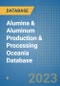 Alumina & Aluminum Production & Processing Oceania Database - Product Image