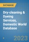 Dry-cleaning & Dyeing Services, Domestic World Database - Product Image
