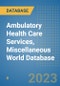 Ambulatory Health Care Services, Miscellaneous World Database - Product Image