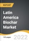 Latin America Biochar Market 2022-2028 - Product Thumbnail Image