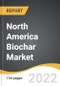 North America Biochar Market 2022-2028 - Product Image