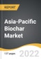 Asia-Pacific Biochar Market 2022-2028 - Product Thumbnail Image