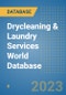 Drycleaning & Laundry Services World Database - Product Image