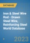 Iron & Steel Wire Rod - Drawn Steel Wire, Reinforcing Steel World Database - Product Image