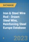 Iron & Steel Wire Rod - Drawn Steel Wire, Reinforcing Steel Europe Database - Product Image