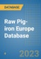 Raw Pig-iron Europe Database - Product Image