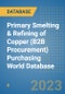 Primary Smelting & Refining of Copper (B2B Procurement) Purchasing World Database - Product Image