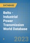 Belts - Industrial Power Transmission World Database - Product Image