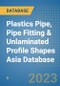 Plastics Pipe, Pipe Fitting & Unlaminated Profile Shapes Asia Database - Product Image