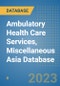 Ambulatory Health Care Services, Miscellaneous Asia Database - Product Image