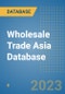 Wholesale Trade Asia Database - Product Image