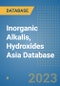 Inorganic Alkalis, Hydroxides Asia Database - Product Thumbnail Image