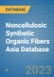 Noncellulosic Synthetic Organic Fibers Asia Database - Product Thumbnail Image