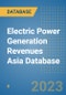 Electric Power Generation Revenues Asia Database - Product Image