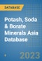 Potash, Soda & Borate Minerals Asia Database - Product Image