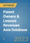 Patent Owners & Lessors Revenues Asia Database - Product Thumbnail Image