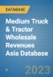 Medium Truck & Tractor Wholesale Revenues Asia Database - Product Thumbnail Image